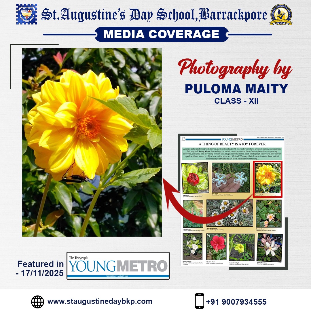 Media Coverage1